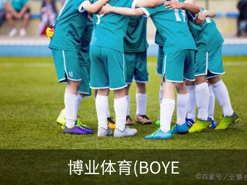 关于博业体育(BOYE